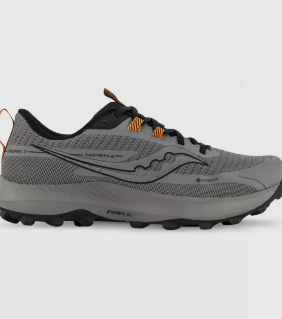 Best Sale Peregrine 13 Gore-Tex Mens Men Trail Run