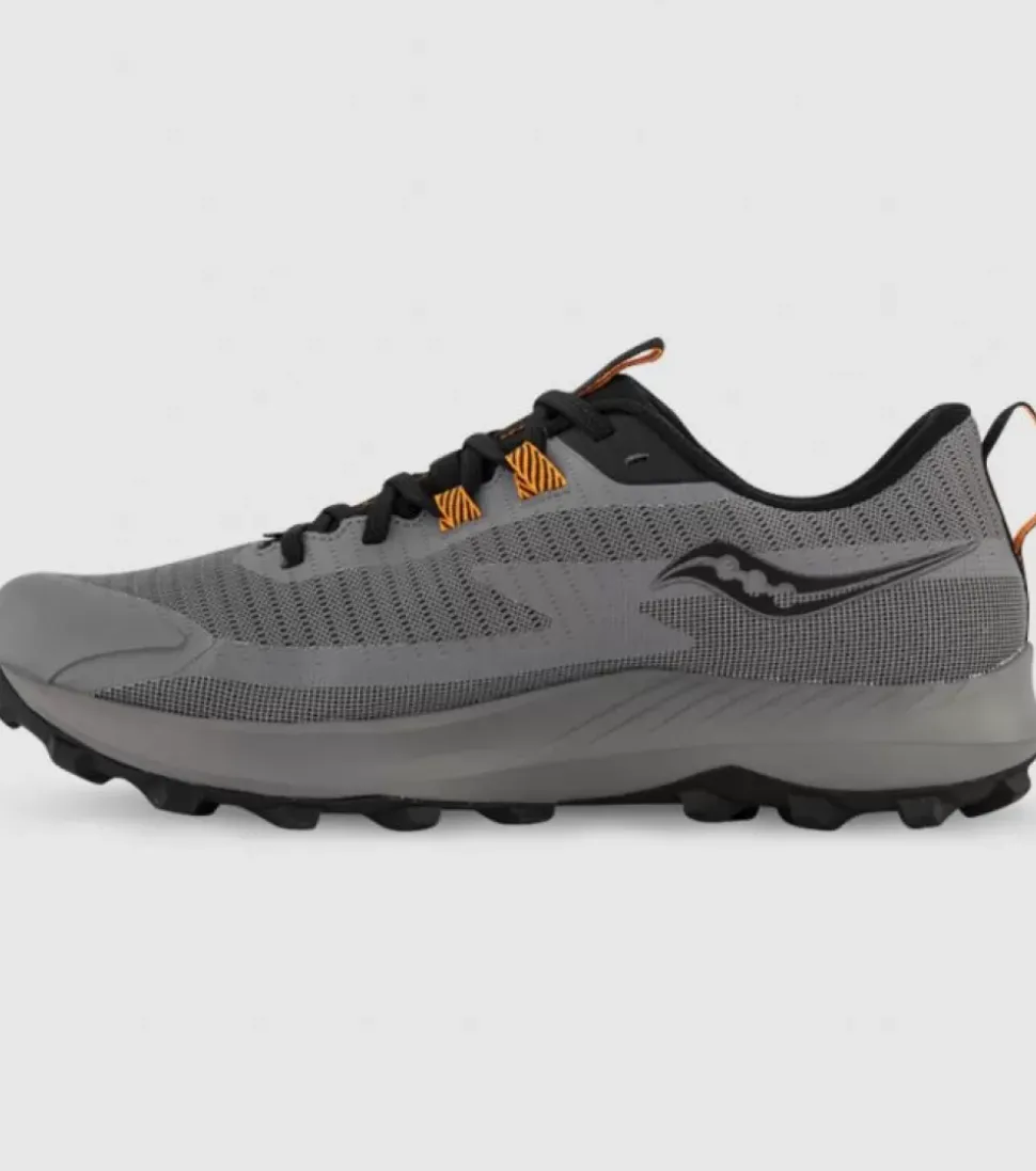 Best Sale Peregrine 13 Gore-Tex Mens Men Trail Run