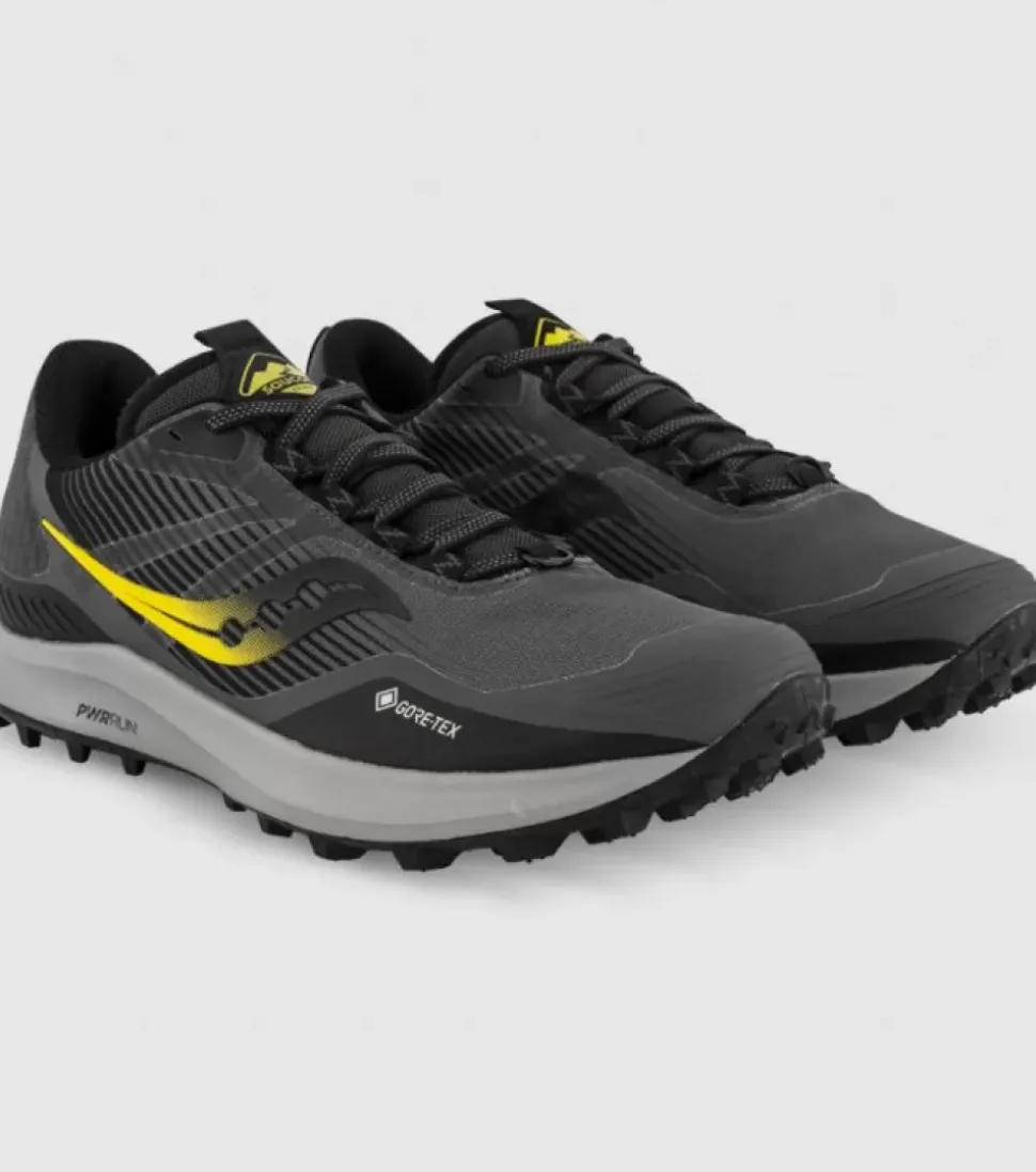 Best Peregrine 12 Gore-Tex Mens Men Trail Run